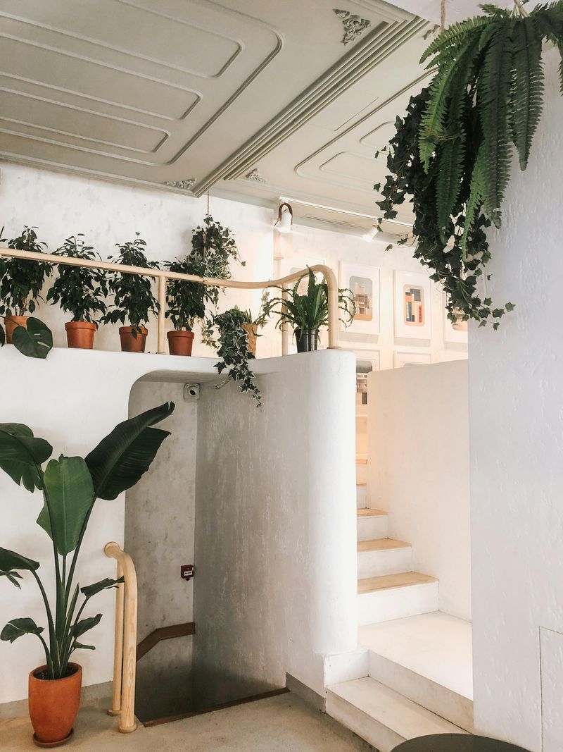 8 Home Styling Trends Professionals May Quietly Avoid - Decor Hint Fake Plant Fatigue