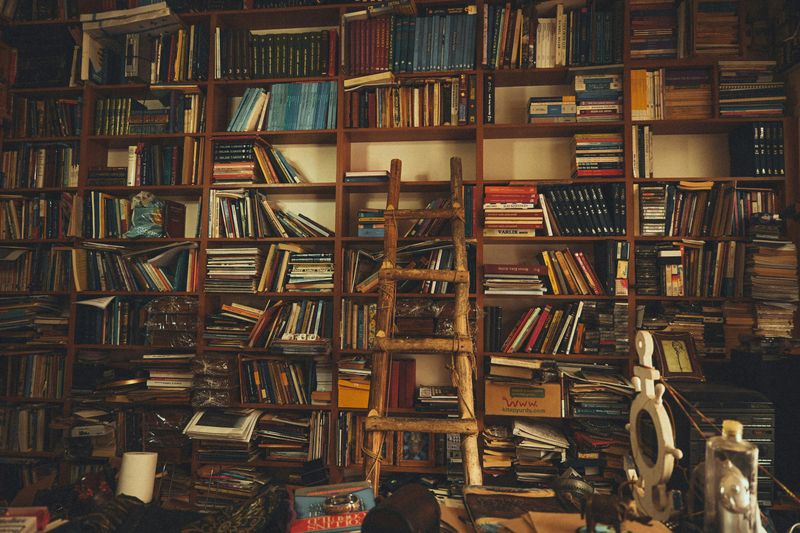 Overstuffed Bookshelves