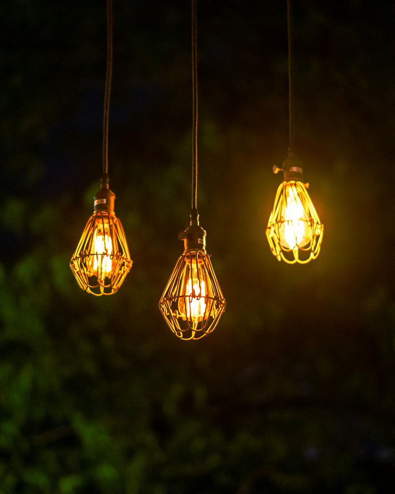 11 Practical And Stylish Ways To Light Up Your Garden - Decor Hint Vintage-Style Edison Bulbs