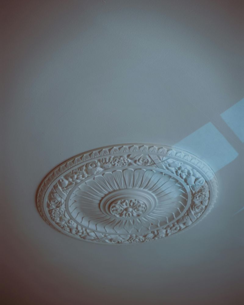 Detailed Ceiling Medallions