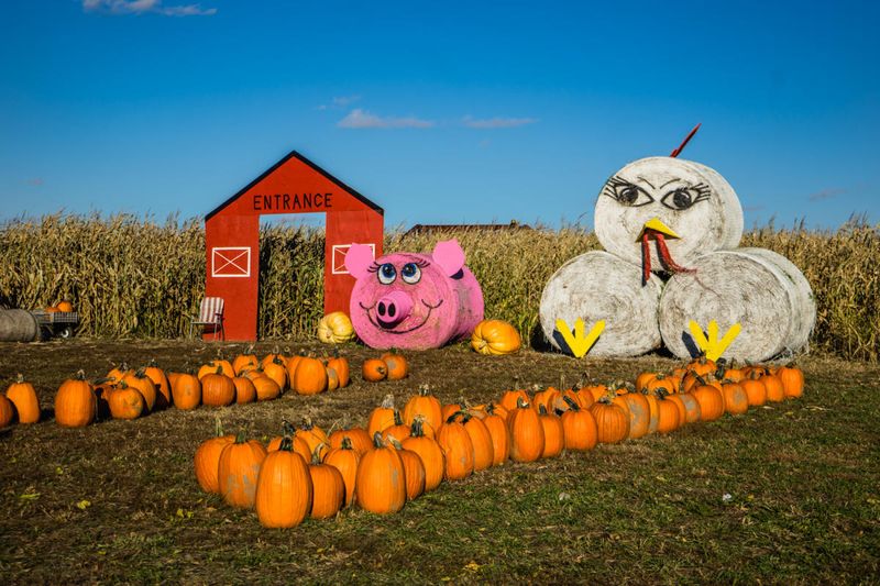 Dehn's Pumpkin Patch