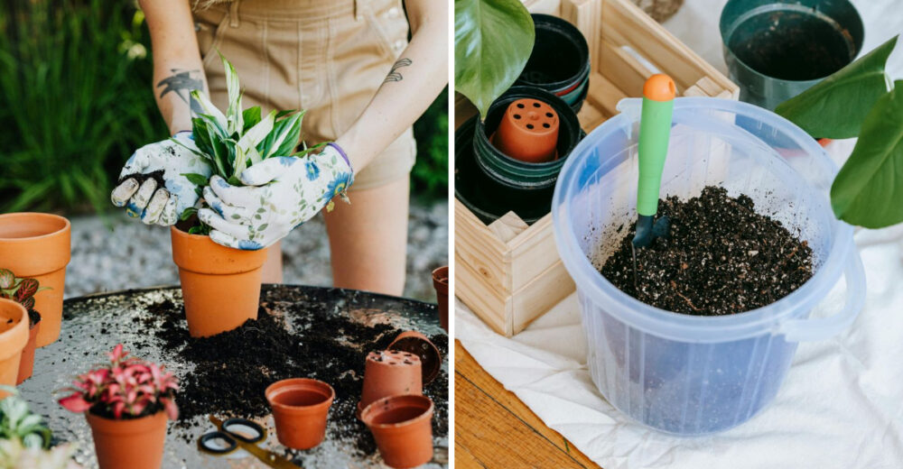 Understanding Potting Porches And Simple Steps To Begin - Decor Hint