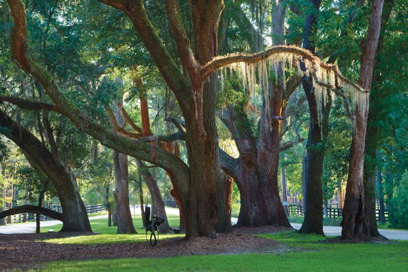10 Reasons Why Georgia's $52.5M Island Is At The Top Of The Luxury Market - Decor Hint Nature's Playground