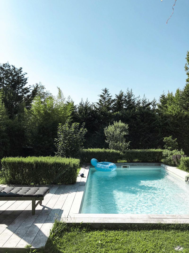 10 Elements That Could Instantly Make Your Backyard Seem Messy - Decor Hint Untrimmed Hedges