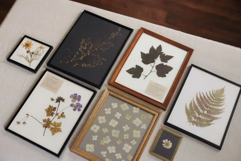 Pressed Fall Leaves In Recycled Glass Frames