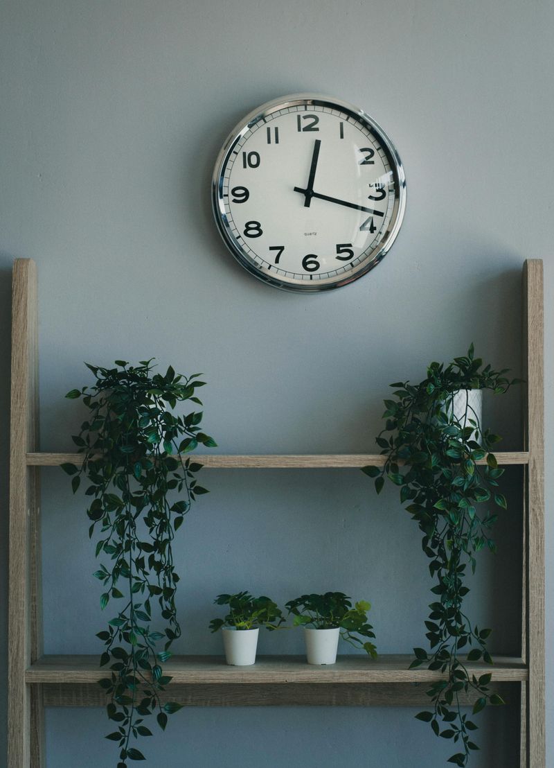 Add Greenery Indoors