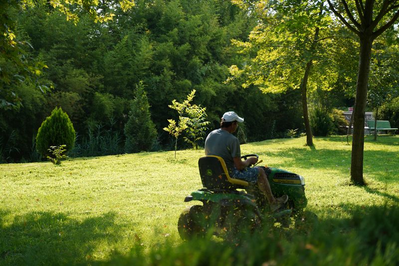 A Practical Guide To Watering Your Lawn - Decor Hint Mowing Matters Too