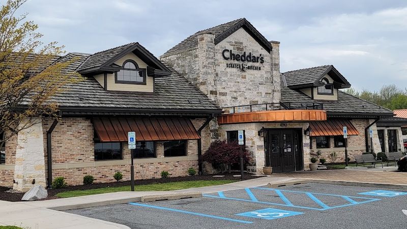 Cheddar's Scratch Kitchen – Camden