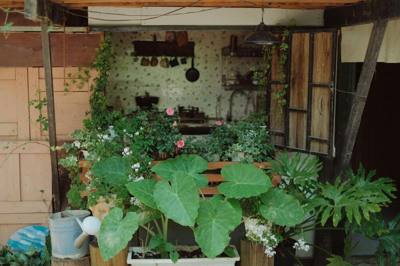 8 Garden Tweaks That Could Improve Indoor Comfort - Decor Hint Create a Herb Garden by the Kitchen