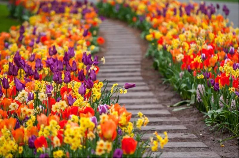 Colorful Flower Borders Change Spatial Perception
