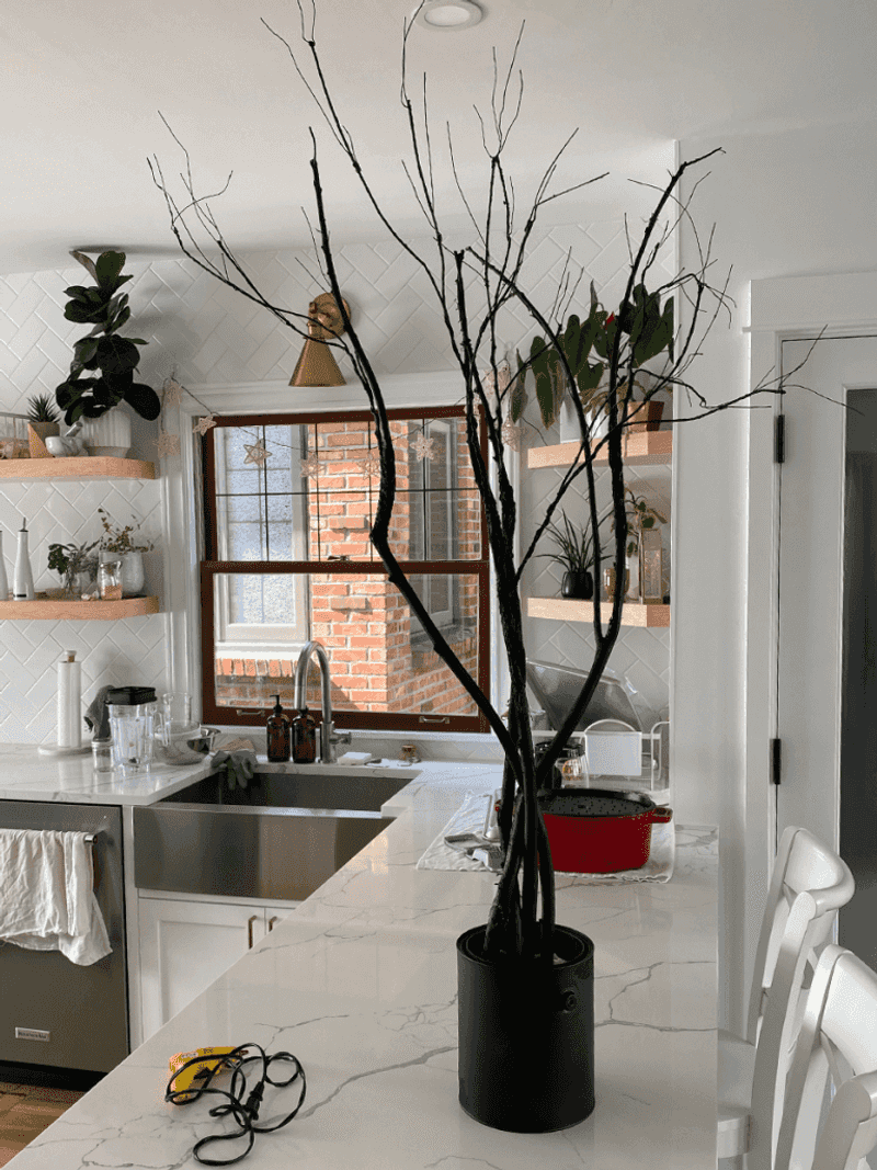 Dramatic Black Branches