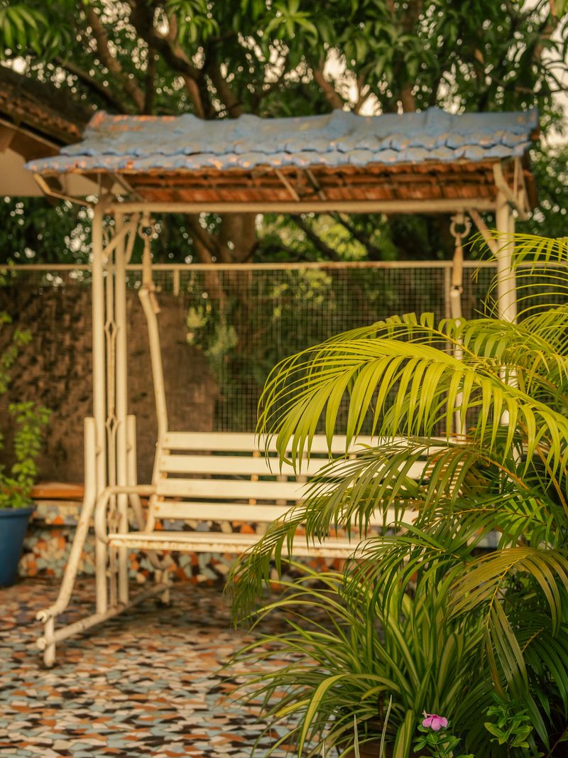 Swing With Built-In Canopy Or Cushions