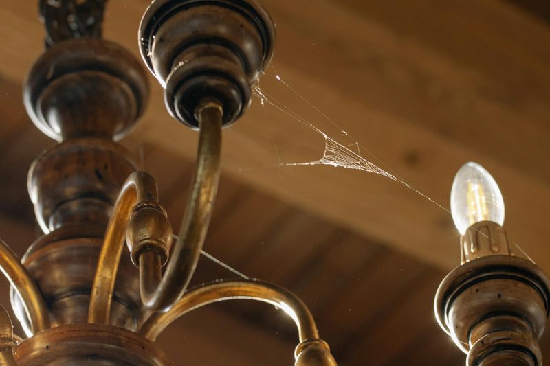 Elegant Chandelier Cobwebs