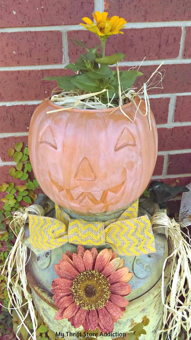 Repurposed Milk Jugs Showcase Fall Blooms