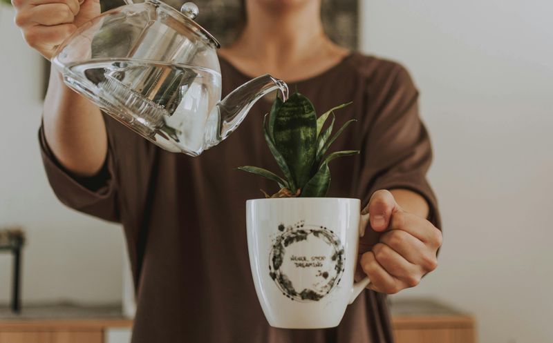 Quirky Teacup Planters