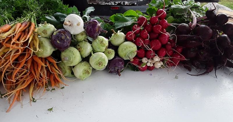 Minocqua Winter Park Harvest Market