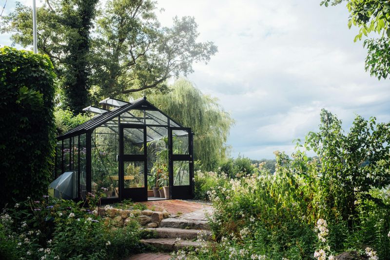 12 Backyard Improvements That Might Be Easy To Maintain Over Time - Decor Hint Self-Cleaning Outdoor Surfaces