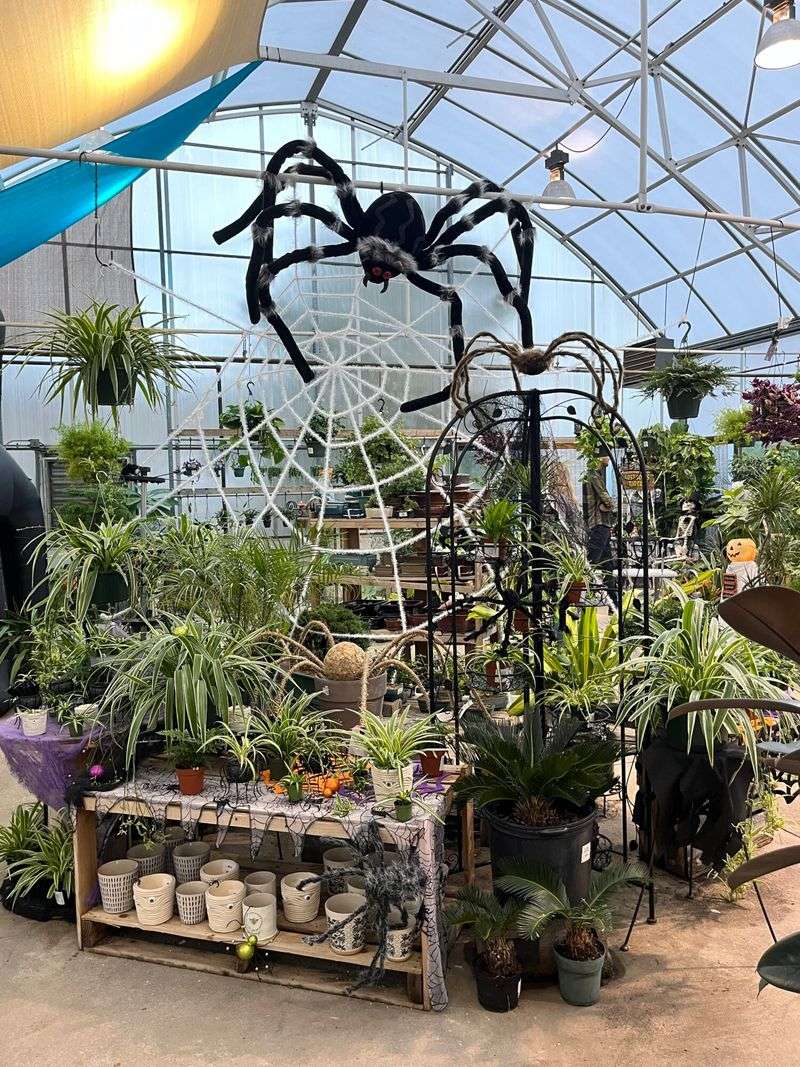 Ghostly Greenhouse at South Coast Botanic Garden
