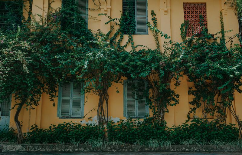Exterior Shutters And Architectural Details