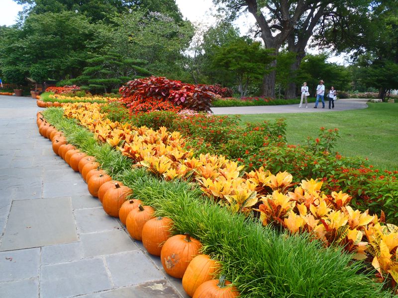 Pumpkin-Lined Garden Paths