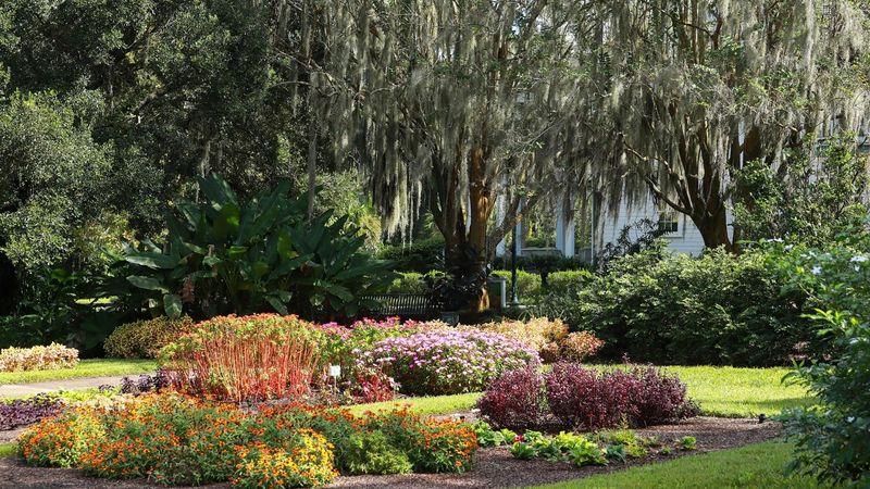 Botanical Beauty At Leu Gardens