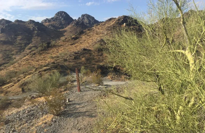 Dreamy Draw's Nature Trail