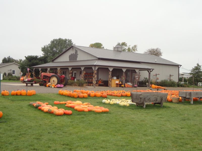 Presidential Pumpkin Path