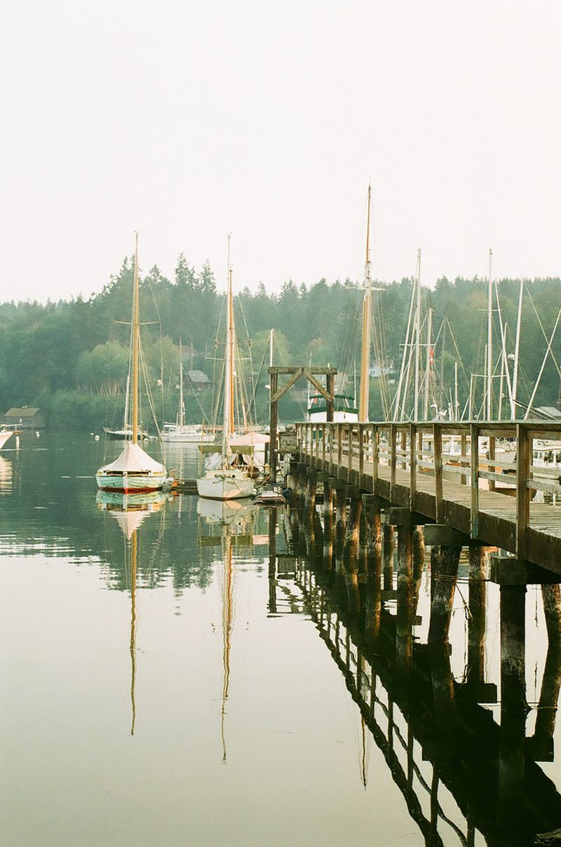 Bainbridge Island Boat Dock Brilliance