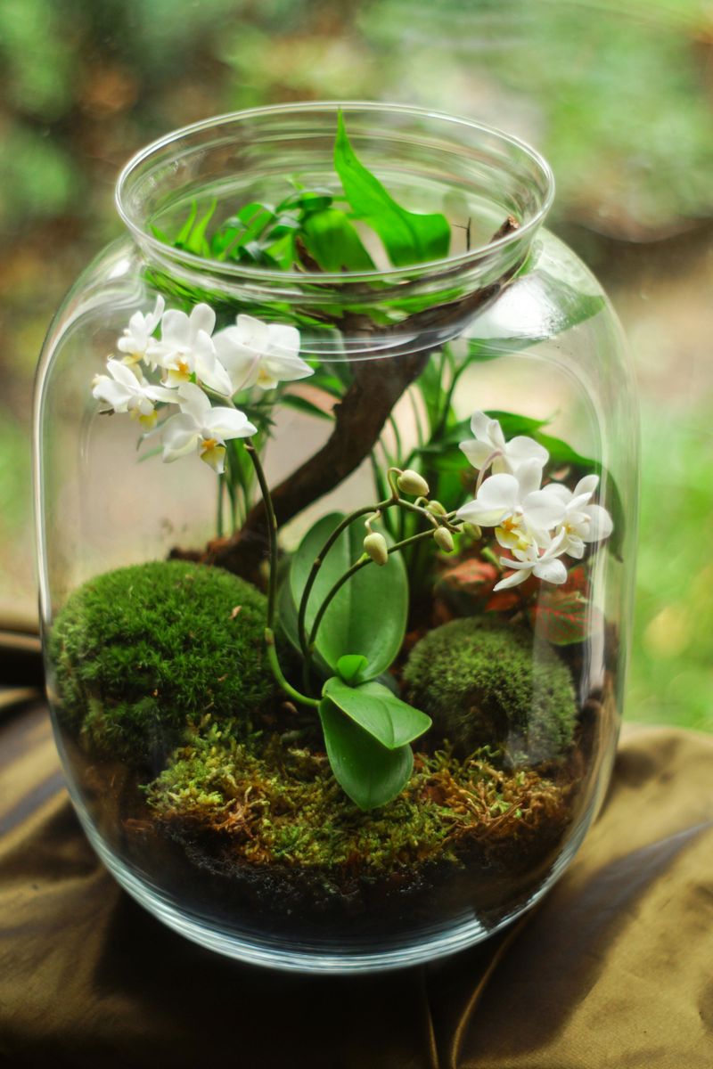 Mason Jar Decor