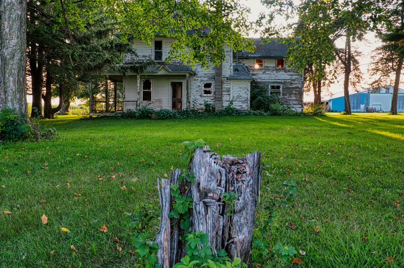Yard Features That Could Negatively Affect A Home's Appearance - Decor Hint Overgrown Lawn and Weeds