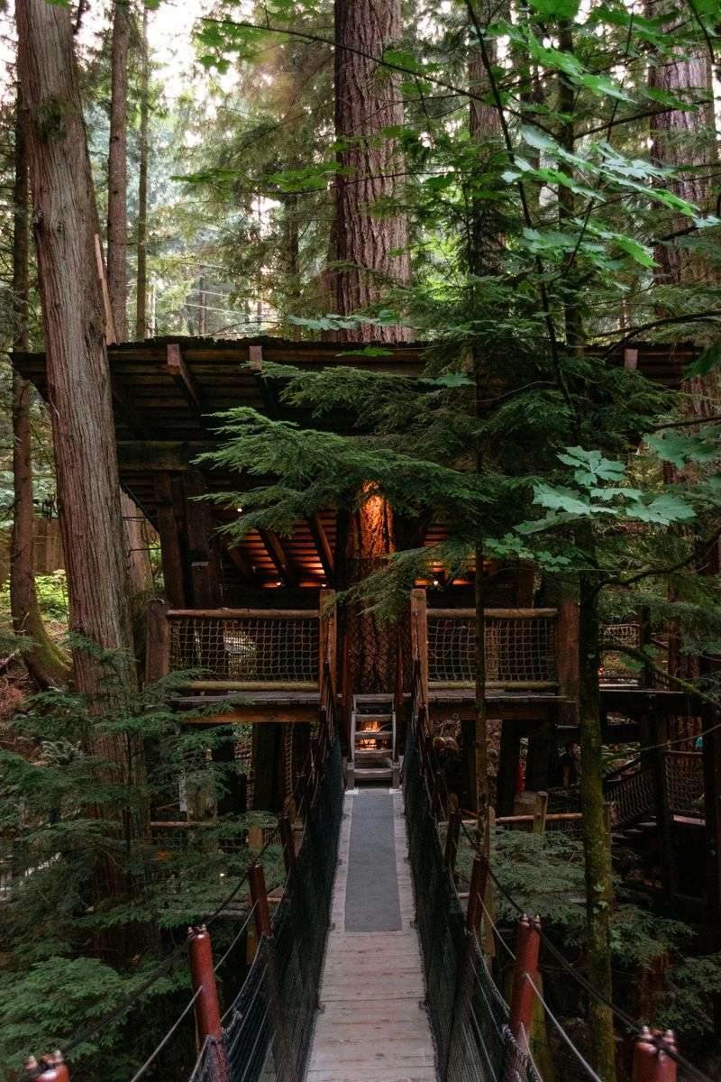 Treehouses