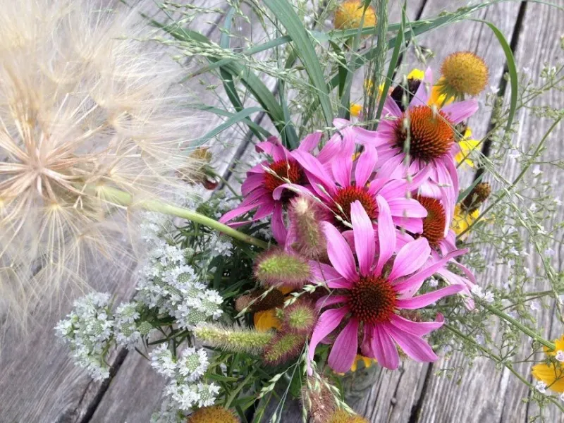 Coneflower Heads In Seasonal Arrangements
