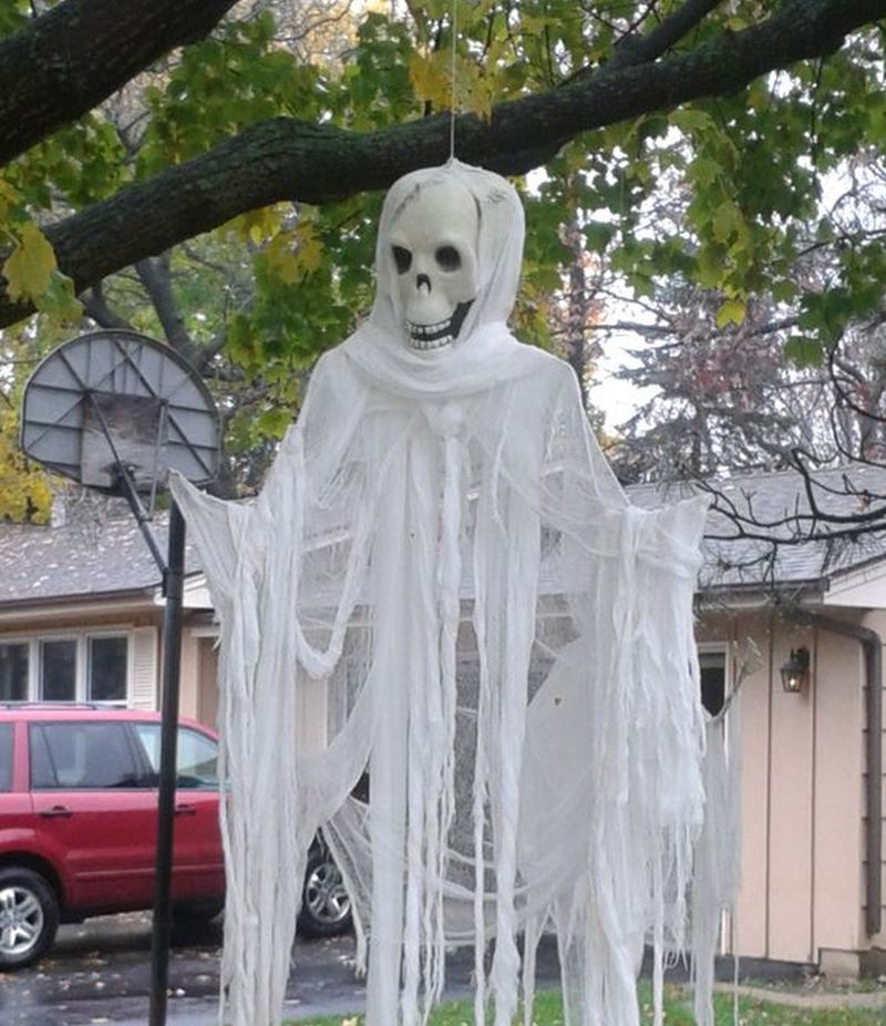 Ghostly Tree Dwellers