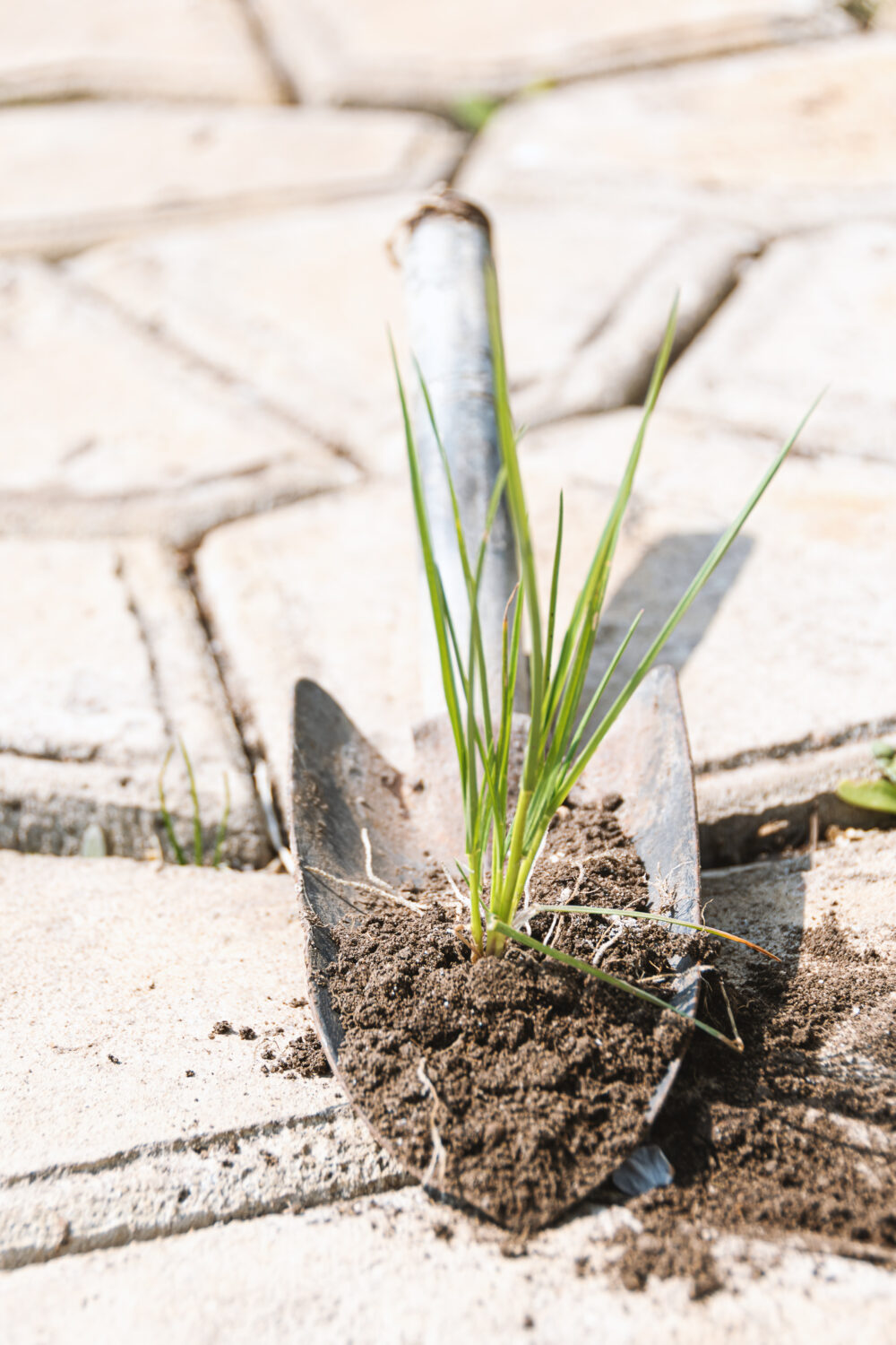 Seasonal Maintenance Considerations