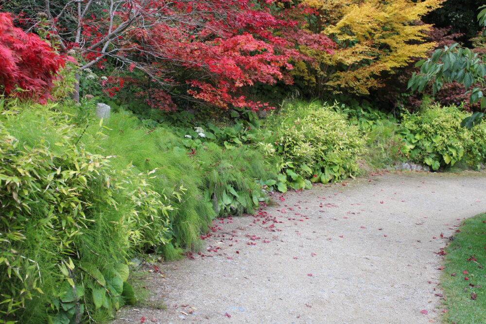 Native Plant Landscaping