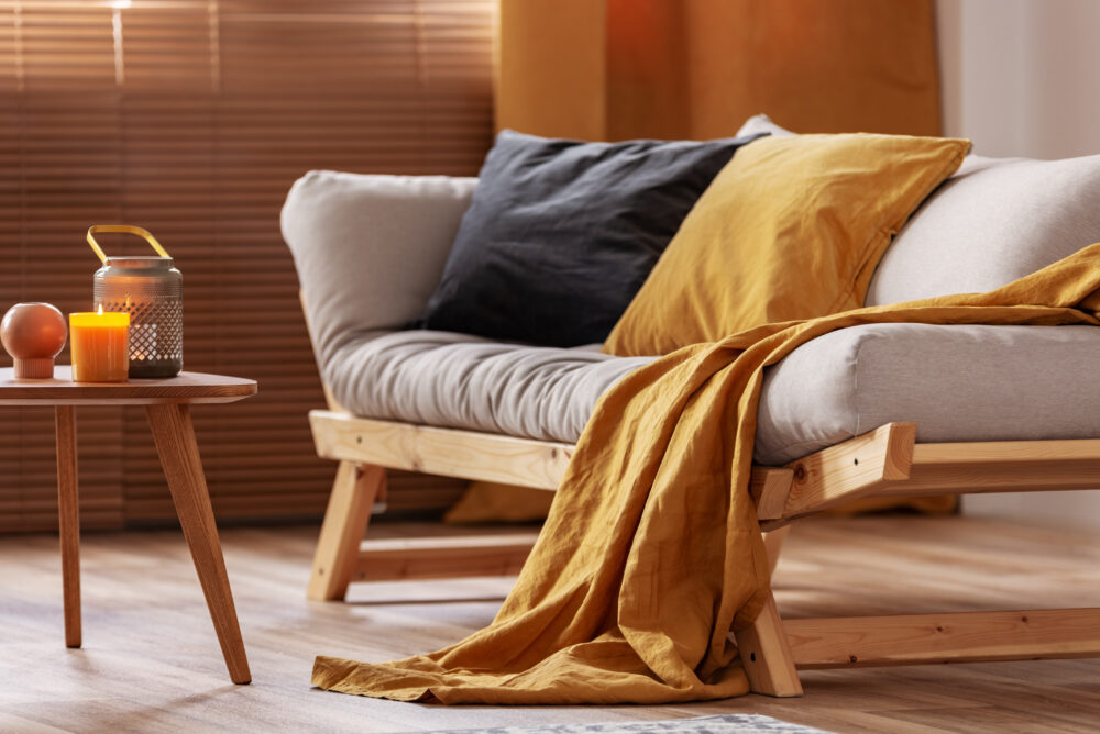 Futon-Style Sleeper Sofa