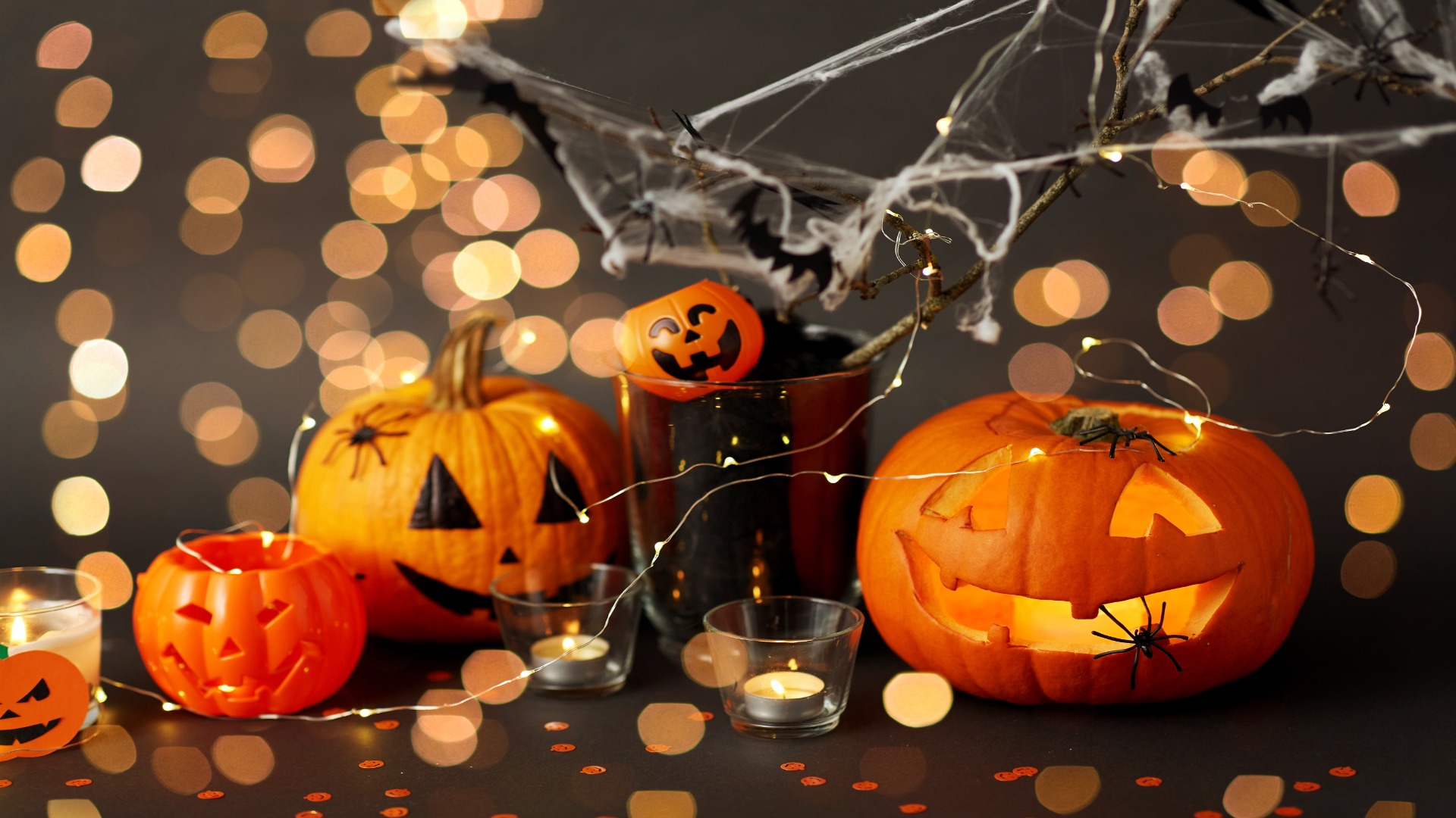 shutterstock 1802262424 resized to 1920x1080 1 - Decor Hint