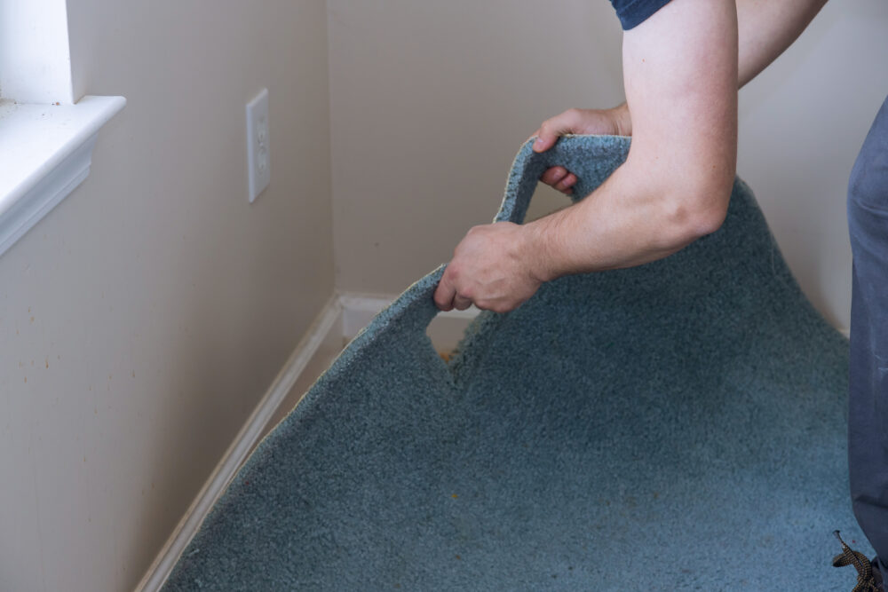Original Hardwood Hiding Under Carpet