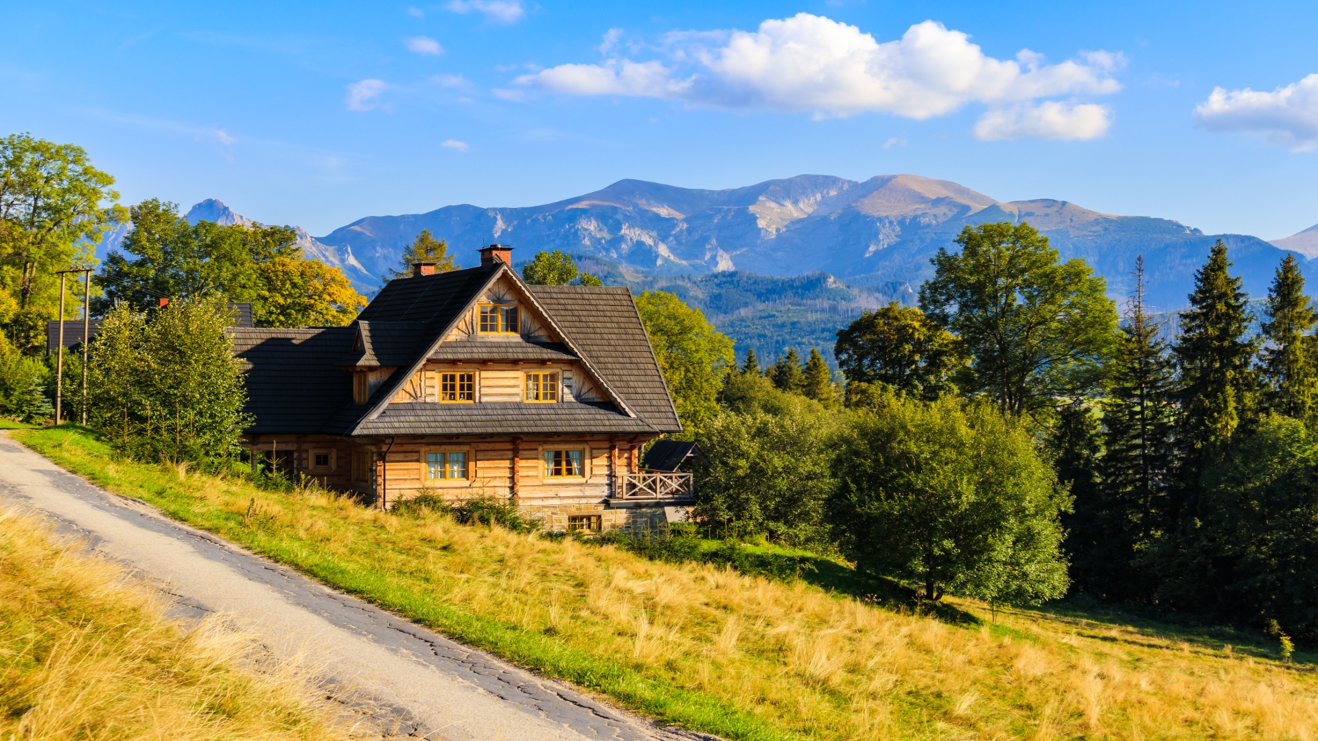 shutterstock 2048551049 resized to 1920x1080 1 - Decor Hint