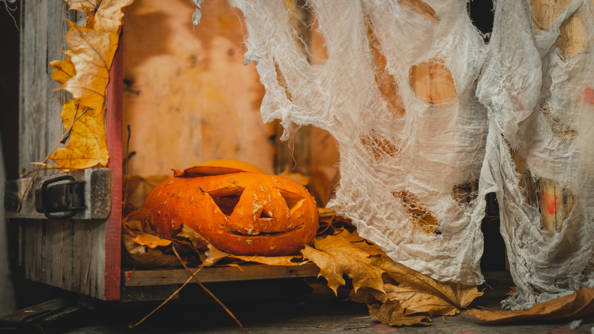 shutterstock 2201936909 resized to 1920x1080 1 - Decor Hint