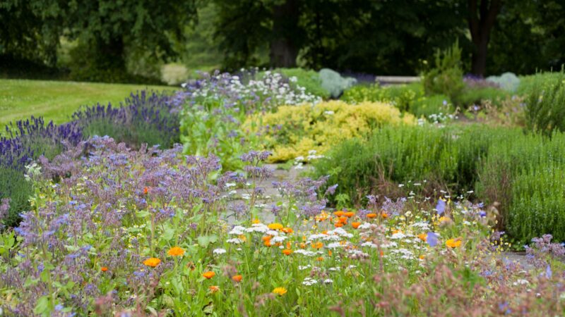 6 Landscaping Choices That May Be Overlooked