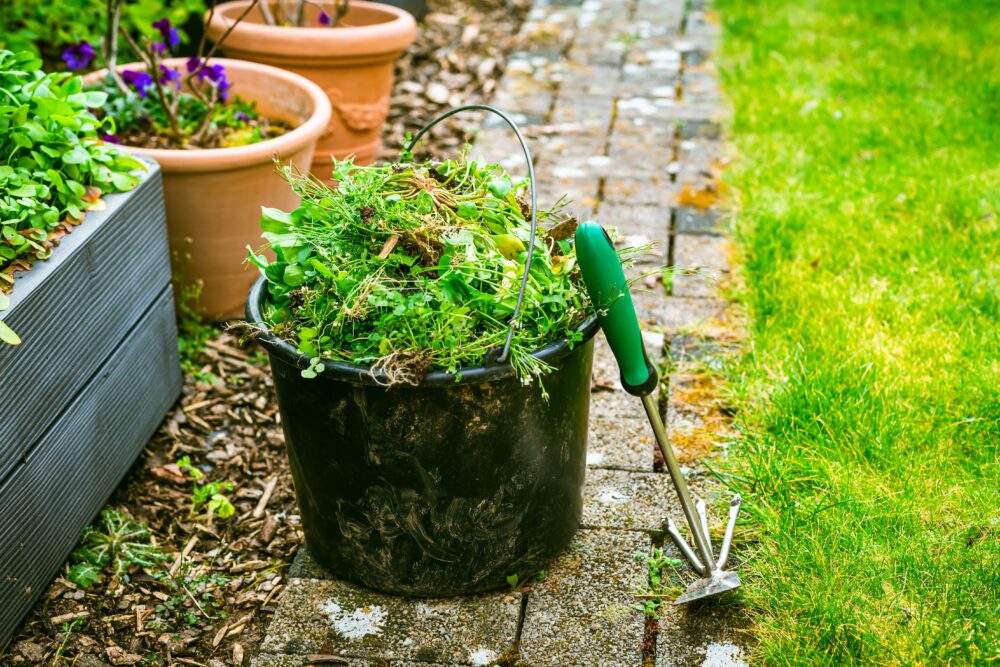 Benefits Of Regular Maintenance