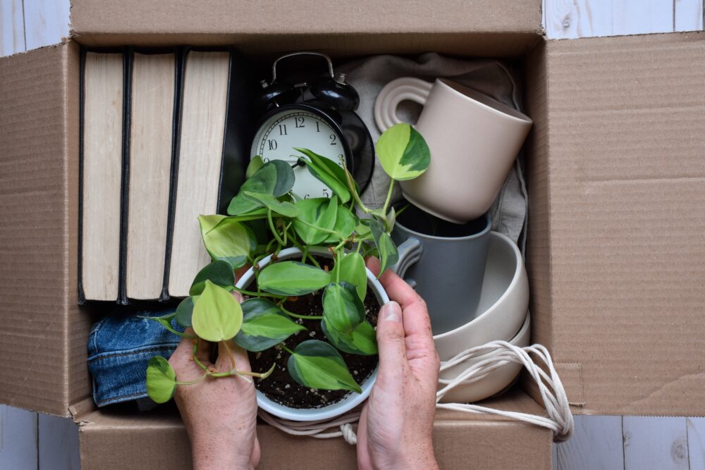 How The Reverse Decluttering Method Could Make Tidying Feel More Manageable - Decor Hint Step One: Choose Items You Truly Want To Keep