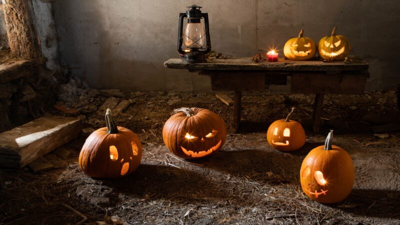 Outdoor Lighting Choices That Might Work Well For Halloween Evenings