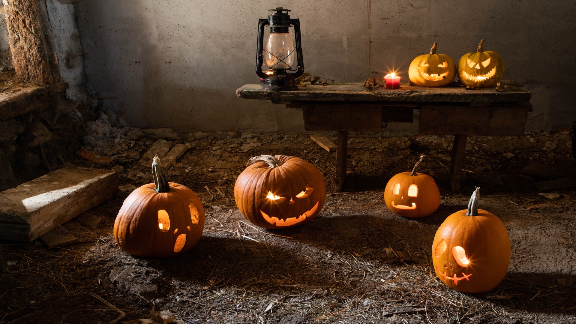shutterstock 2374169729 resized to 1920x1080 1 - Decor Hint