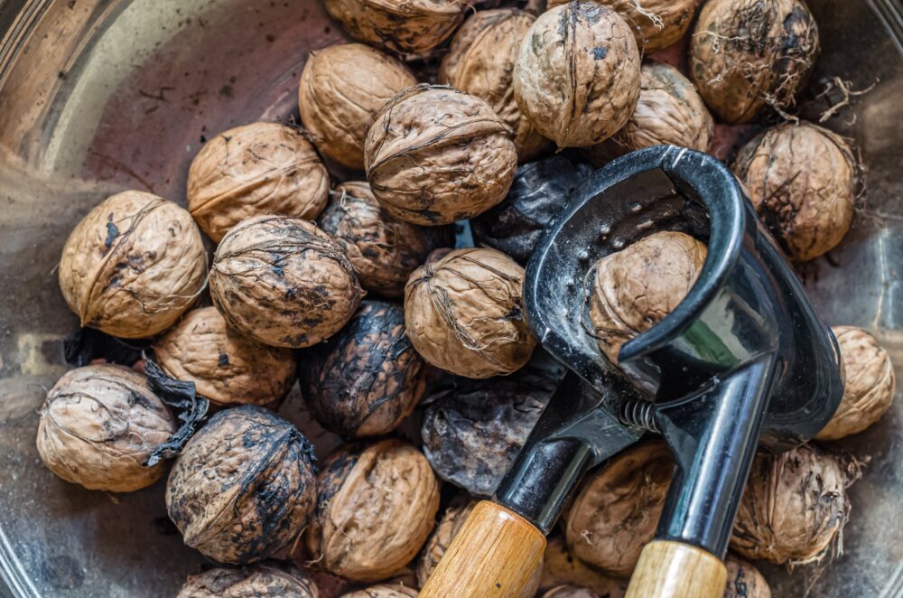 17 Traditional Kitchen Tools That May Be Less Familiar To Younger Generations - Decor Hint Nutcracker And Picks Set