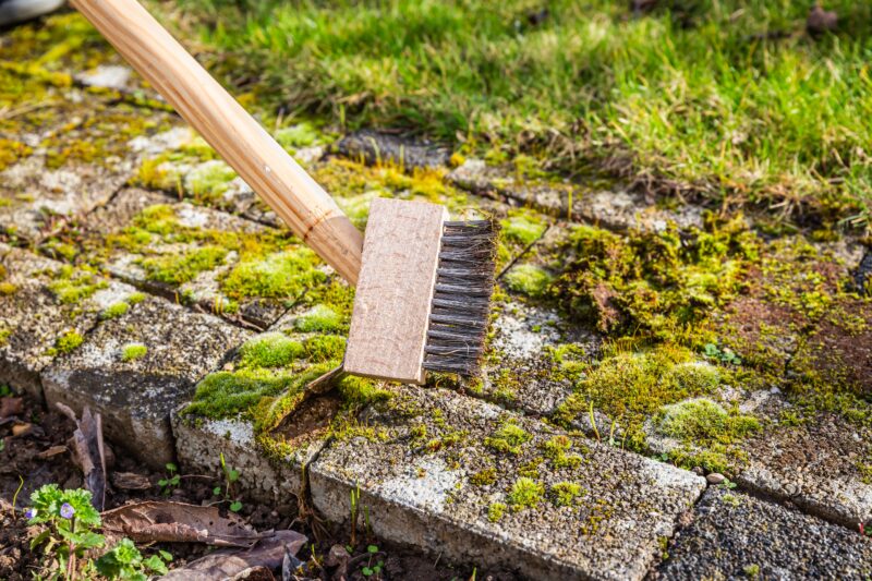 Regular Maintenance May Help Reduce Weeds Around Paver Areas