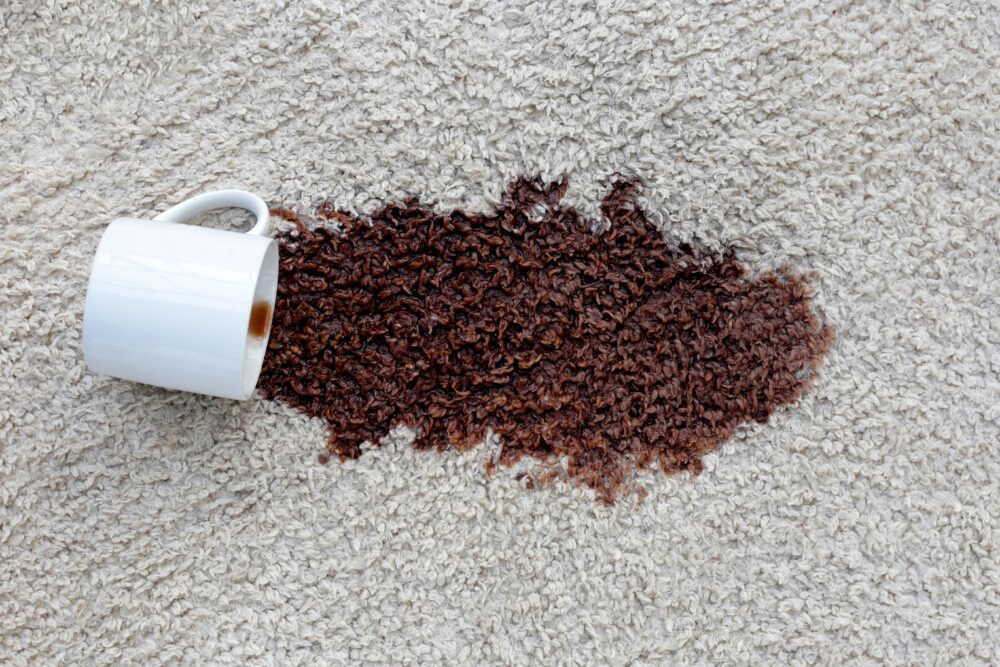 Stained Or Threadbare Area Rugs