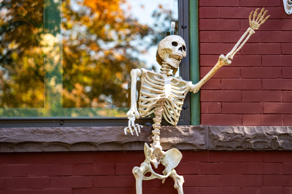 Climbing The House Skeletons