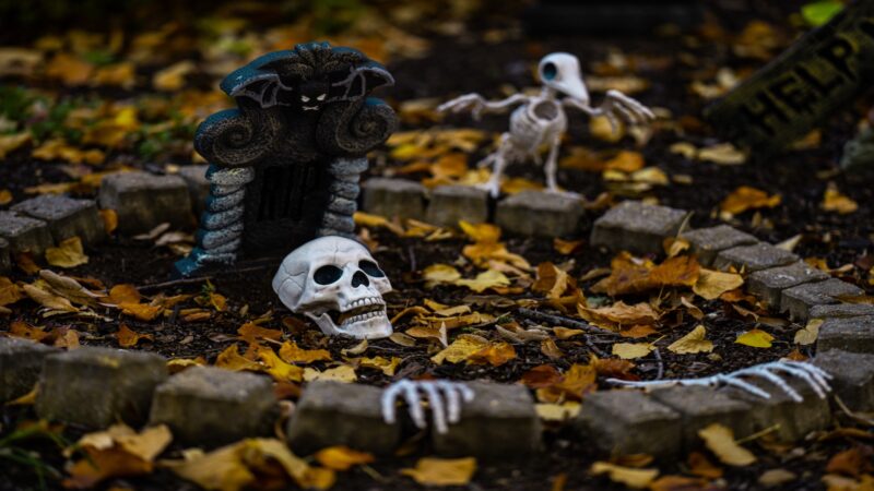 10 Outdoor Skeleton Display Ideas That Could Suit A Seasonal Setup